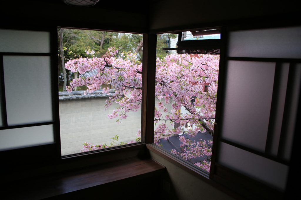 窓から見える　桜
